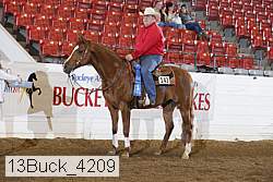 13buck_4209 proof