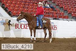 13buck_4210 proof