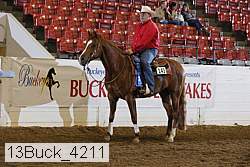 13buck_4211 proof