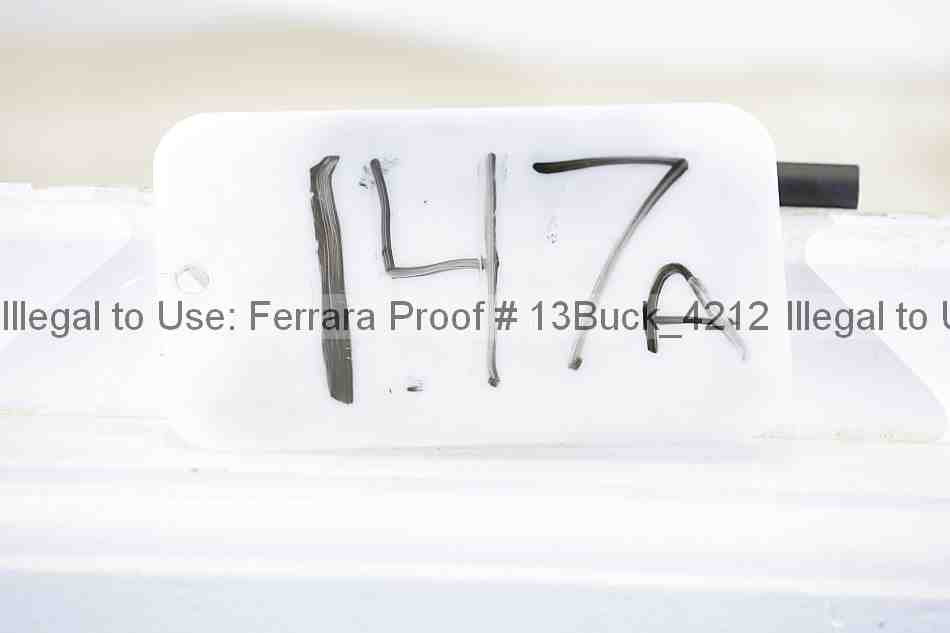 Proof 13buck_4212