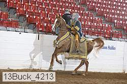 13buck_4213 proof