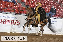 13buck_4214 proof