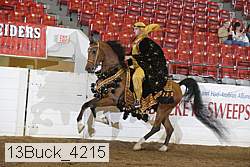 13buck_4215 proof