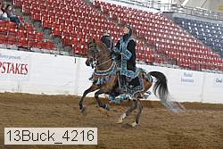 13buck_4216 proof