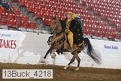 13buck_4218 proof