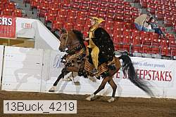 13buck_4219 proof