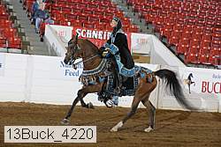 13buck_4220 proof