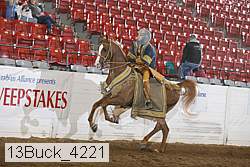 13buck_4221 proof
