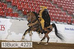 13buck_4223 proof