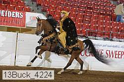 13buck_4224 proof