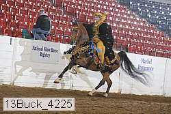 13buck_4225 proof