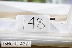 13buck_4227 proof