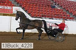 13buck_4228 proof