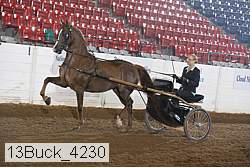 13buck_4230 proof