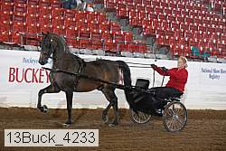 13buck_4233 proof