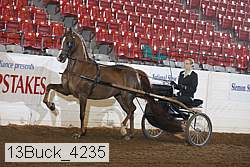 13buck_4235 proof
