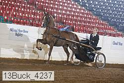 13buck_4237 proof