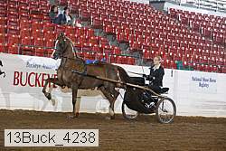 13buck_4238 proof