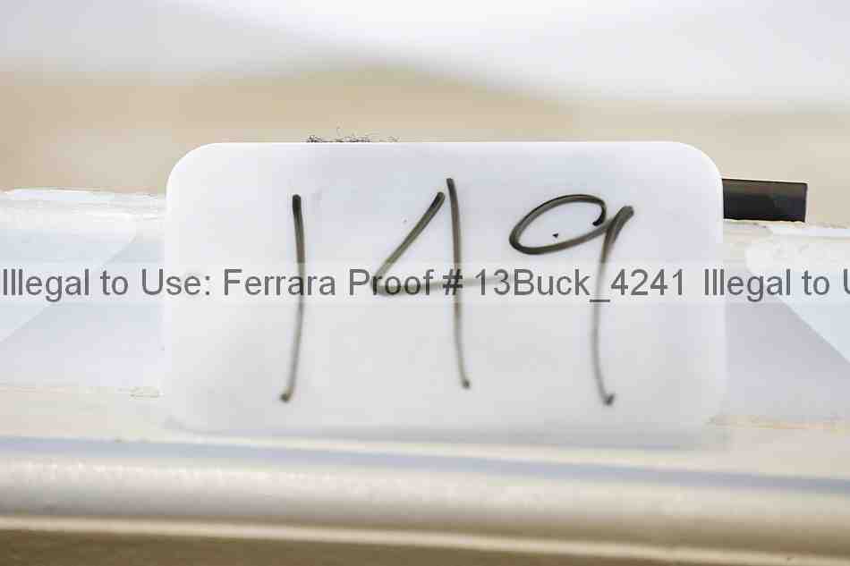 Proof 13buck_4241