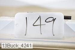 13buck_4241 proof