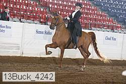 13buck_4242 proof