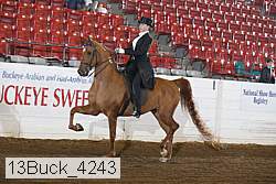 13buck_4243 proof