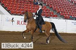 13buck_4244 proof