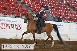13buck_4252 proof