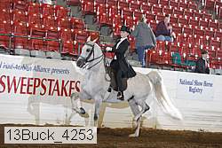 13buck_4253 proof