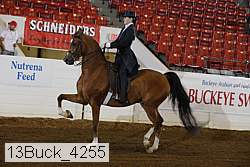 13buck_4255 proof
