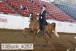 13buck_4257 proof