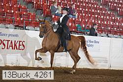 13buck_4261 proof