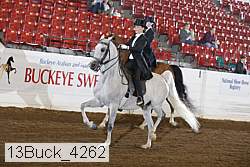 13buck_4262 proof