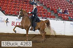 13buck_4263 proof