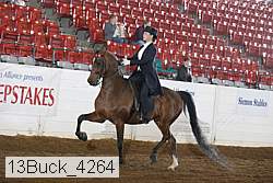 13buck_4264 proof