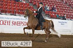 13buck_4267 proof