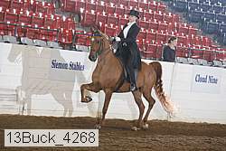 13buck_4268 proof