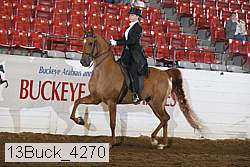 13buck_4270 proof