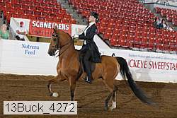 13buck_4272 proof