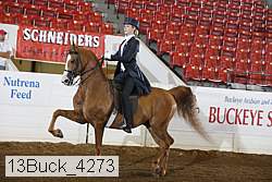 13buck_4273 proof