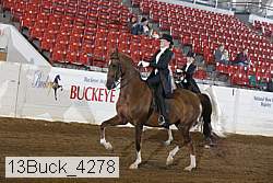 13buck_4278 proof