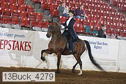 13buck_4279 proof