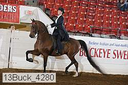 13buck_4280 proof
