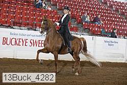 13buck_4282 proof
