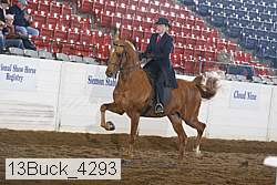 13buck_4293 proof