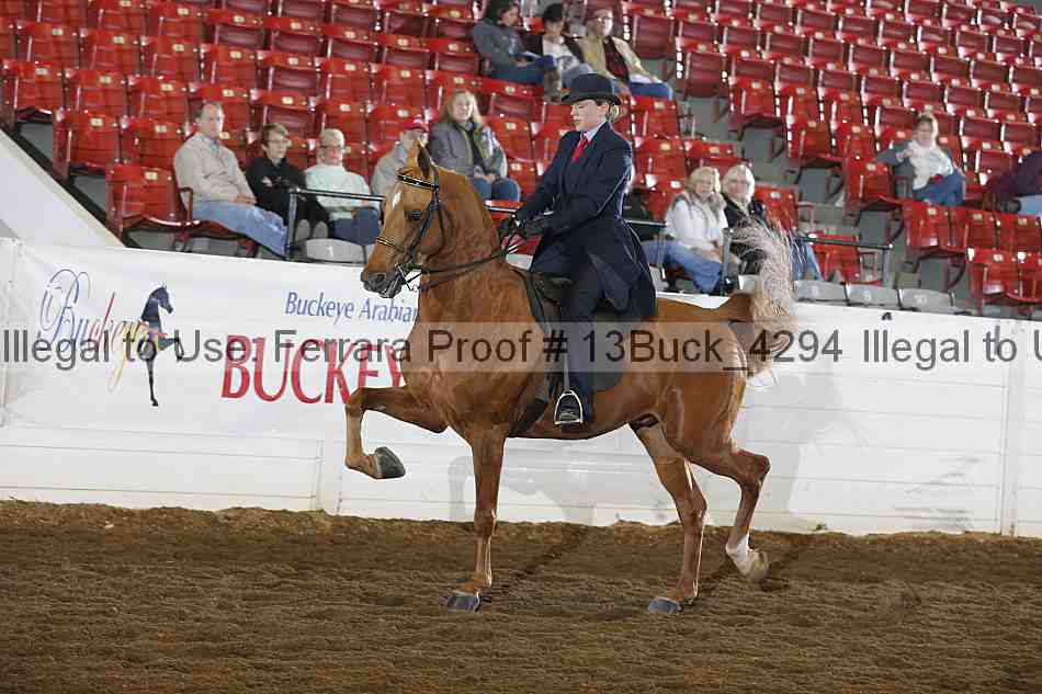 Proof 13buck_4294