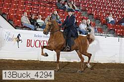 13buck_4294 proof
