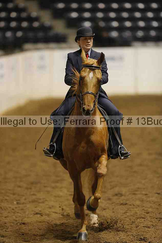 Proof 13buck_4295