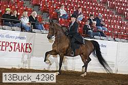 13buck_4296 proof