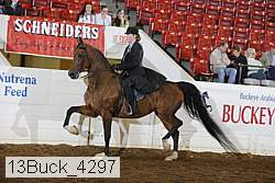 13buck_4297 proof